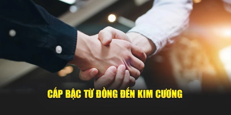 Cấp bậc từ Đồng đến Kim Cương