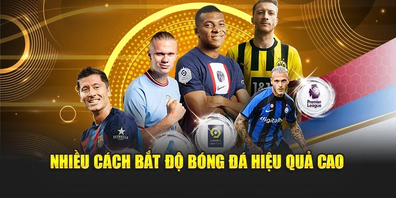 Nhiều cách bắt độ bóng đá hiệu quả cao